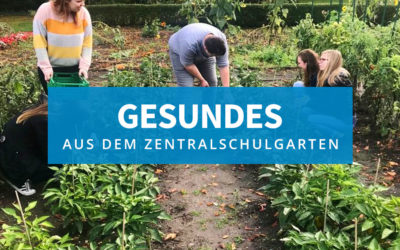 Gesundes aus dem Zentralschulgarten