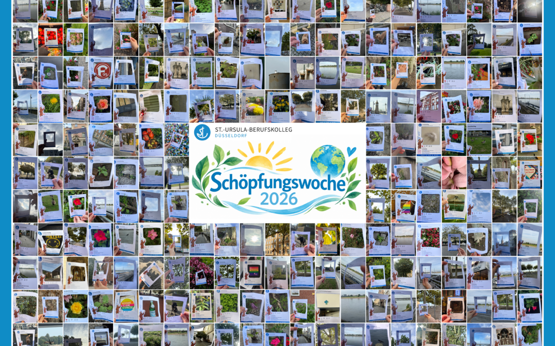 Montag, 14. September: Auftakt unserer Schöpfungswoche: Unsere Umwelt  neu entdecken